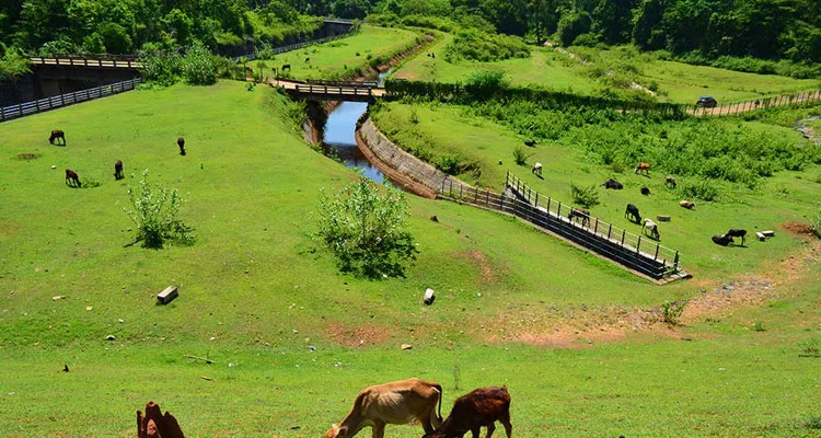 Coorg — tour package in Honeymoon Package