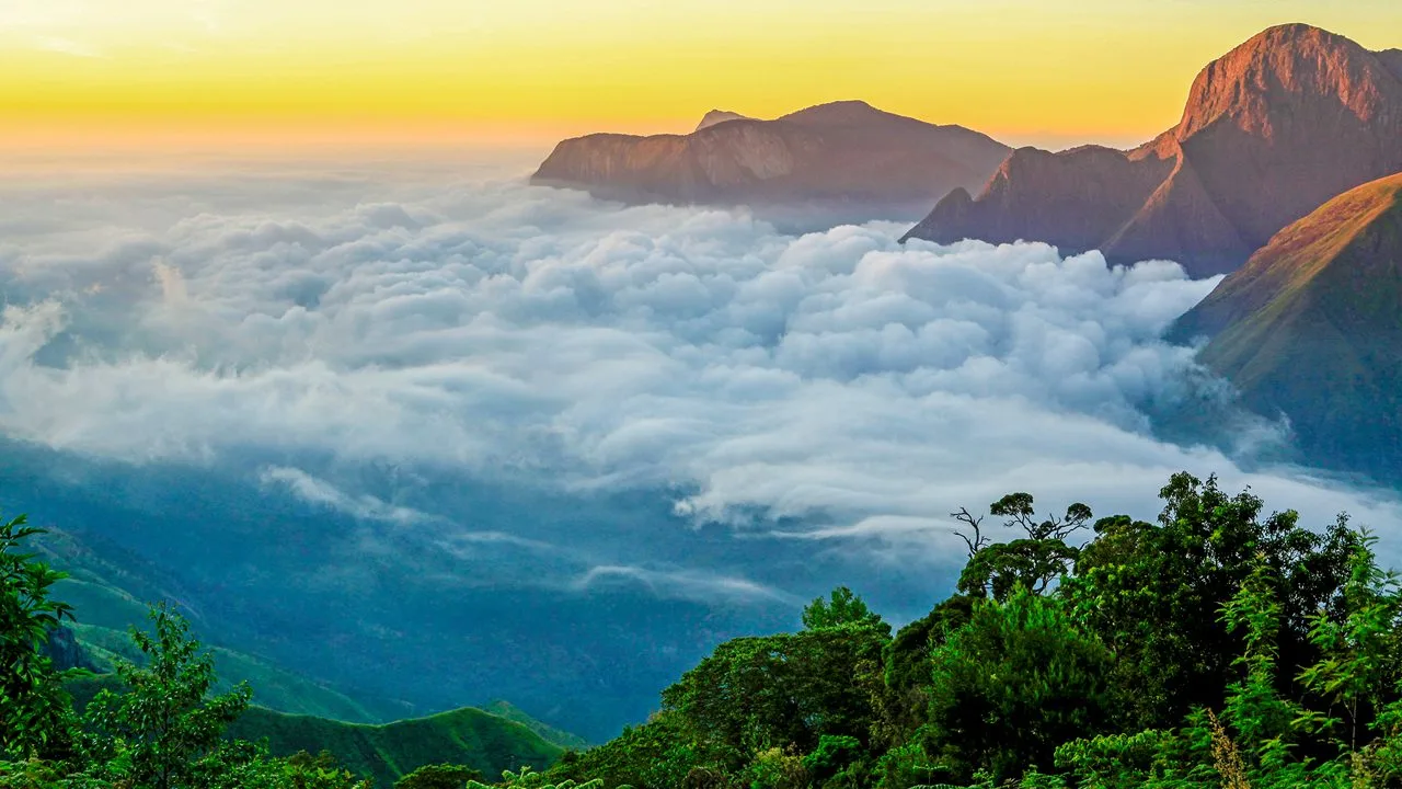 Munnar — tour package in Honeymoon Package