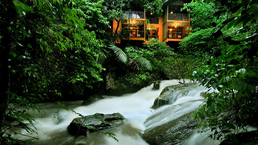Wayanad — tour package in Honeymoon Package